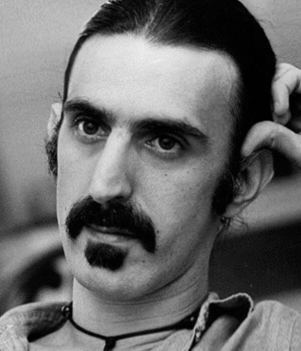 Zappa cool beard style