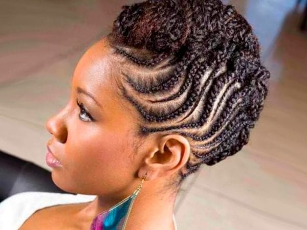  Hairstyles  with braiding  hair 