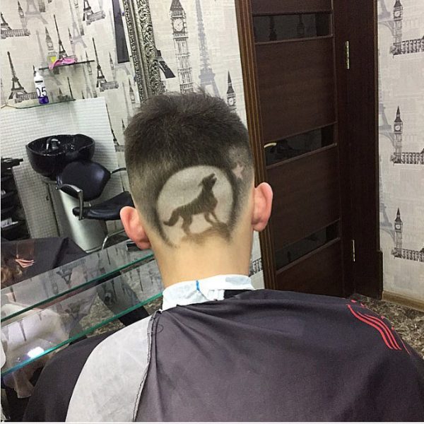 Howling Wolf Haircut for Guys