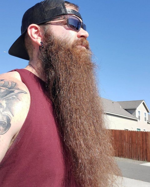 A long beard of a thick texture.