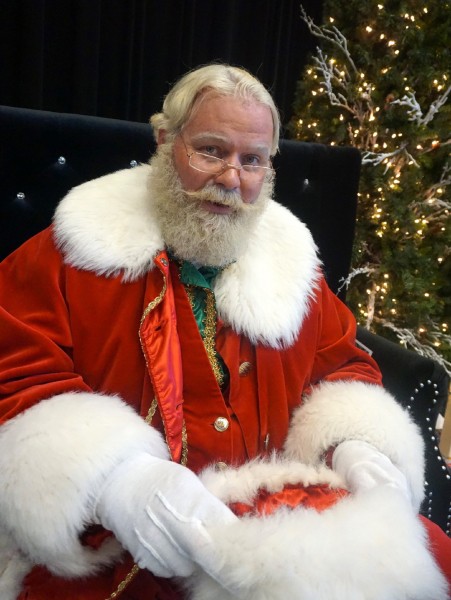 A short beard of the Santa Claus.