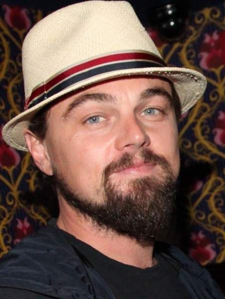 A full beard of Leonardo DiCaprio.